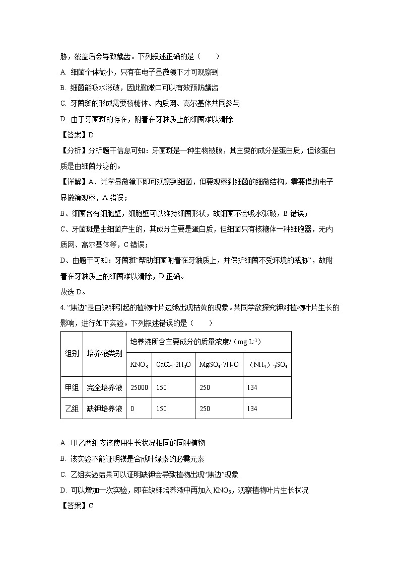 江苏省徐州市2024-2025学年高一上学期1月期末真题生物试卷（解析版）第2页