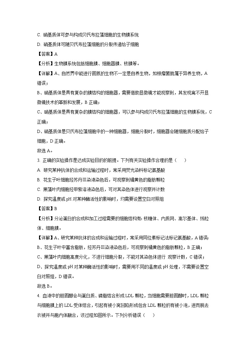 河南省部分学校2025届高三下5月月考生物试卷（解析版）第2页