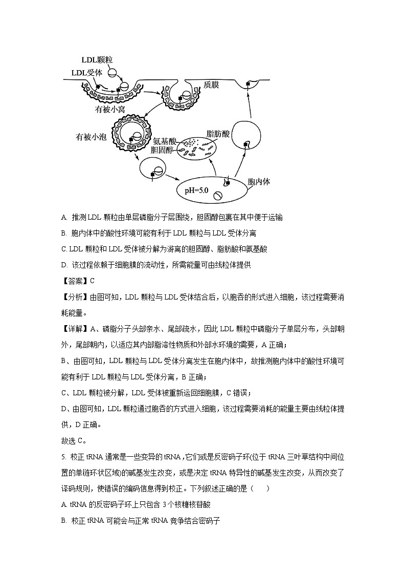 河南省部分学校2025届高三下5月月考生物试卷（解析版）第3页