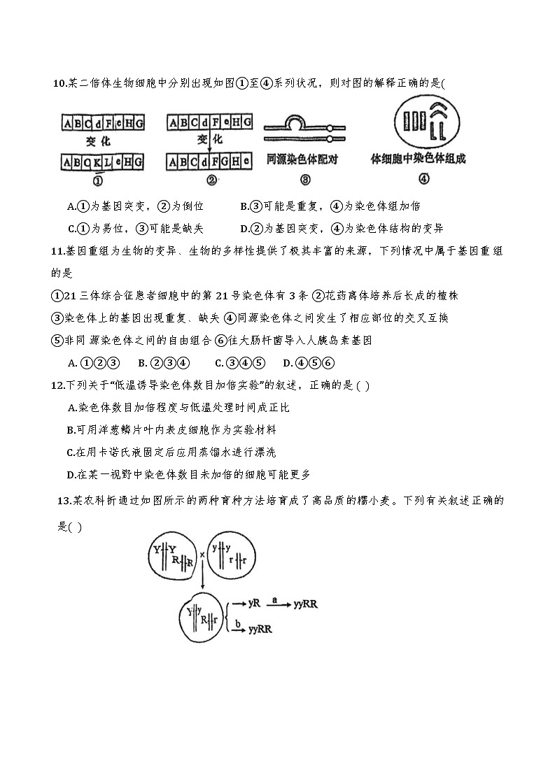 2025年天津红桥区高一期末——生物试卷第3页
