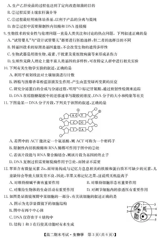 甘肃省酒泉市2024-2025学年高二下学期期末考试生物试题（PDF版附答案）第3页
