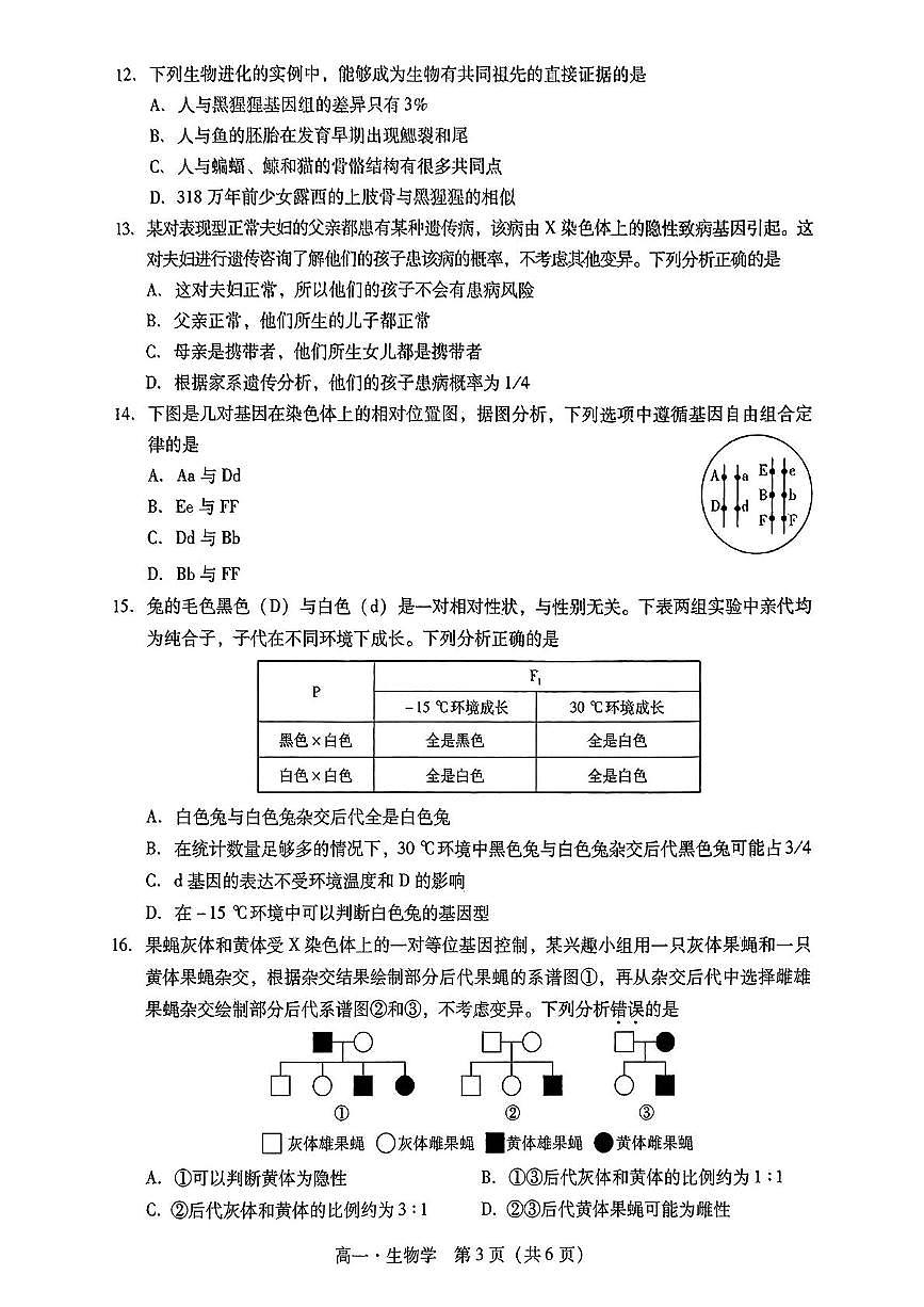 广东省汕尾市2024-2025学年高一下学期期末考试生物试题（PDF版附解析）第3页