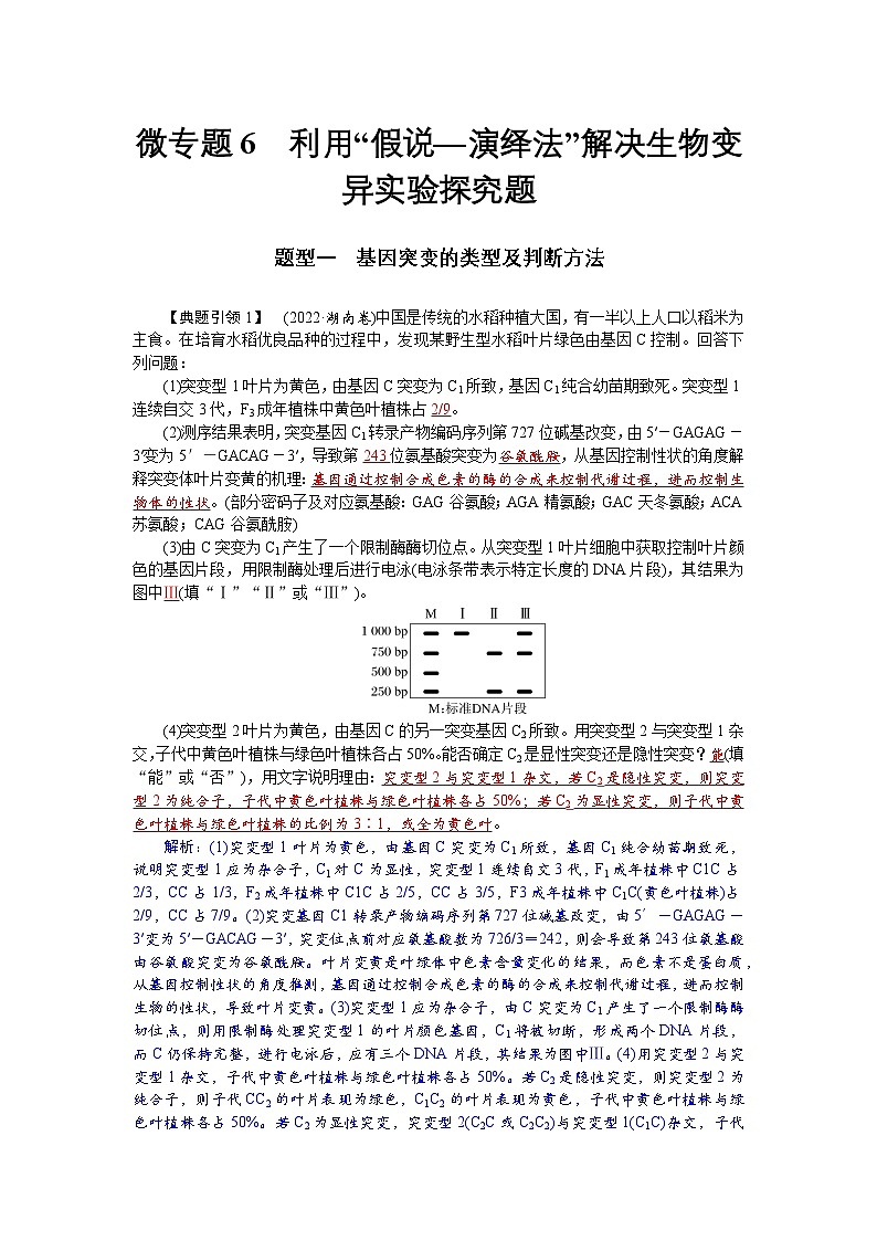 高三生物【一轮复习】讲义练习　第七单元　微专题六　利用“假说—演绎法”解决生物变异实验探究题第1页