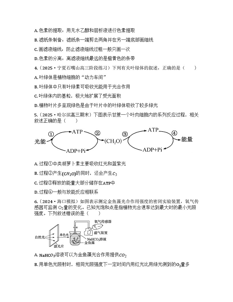 2026届高考生物一轮基础复习训练15 光合作用的原理及影响因素第2页