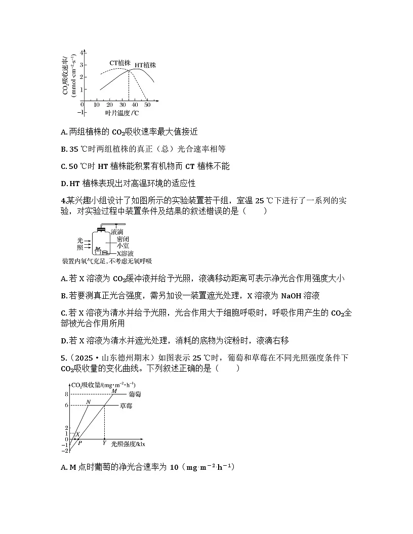 2026届高考生物一轮基础复习训练16 光合作用和细胞呼吸的关系第2页