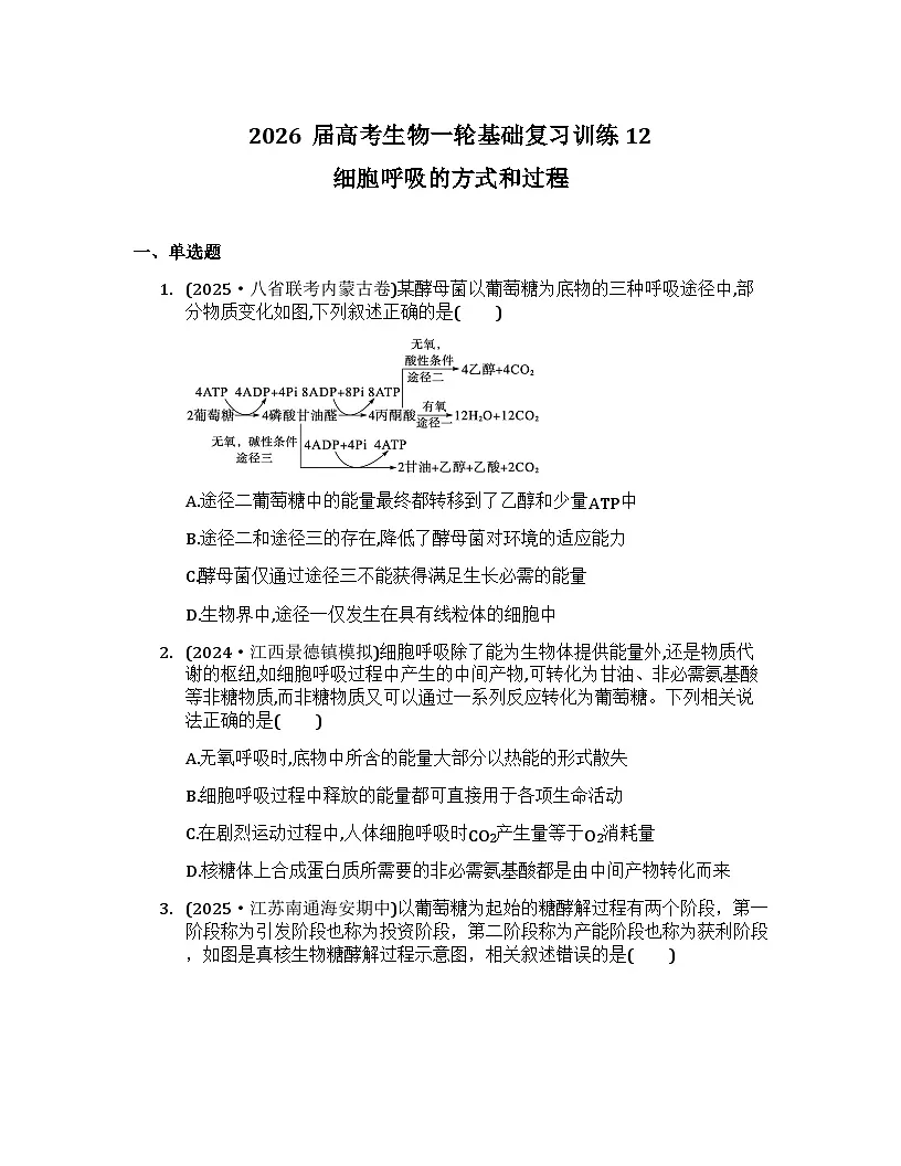 2026届高考生物一轮基础复习训练12 细胞呼吸的方式和过程第1页