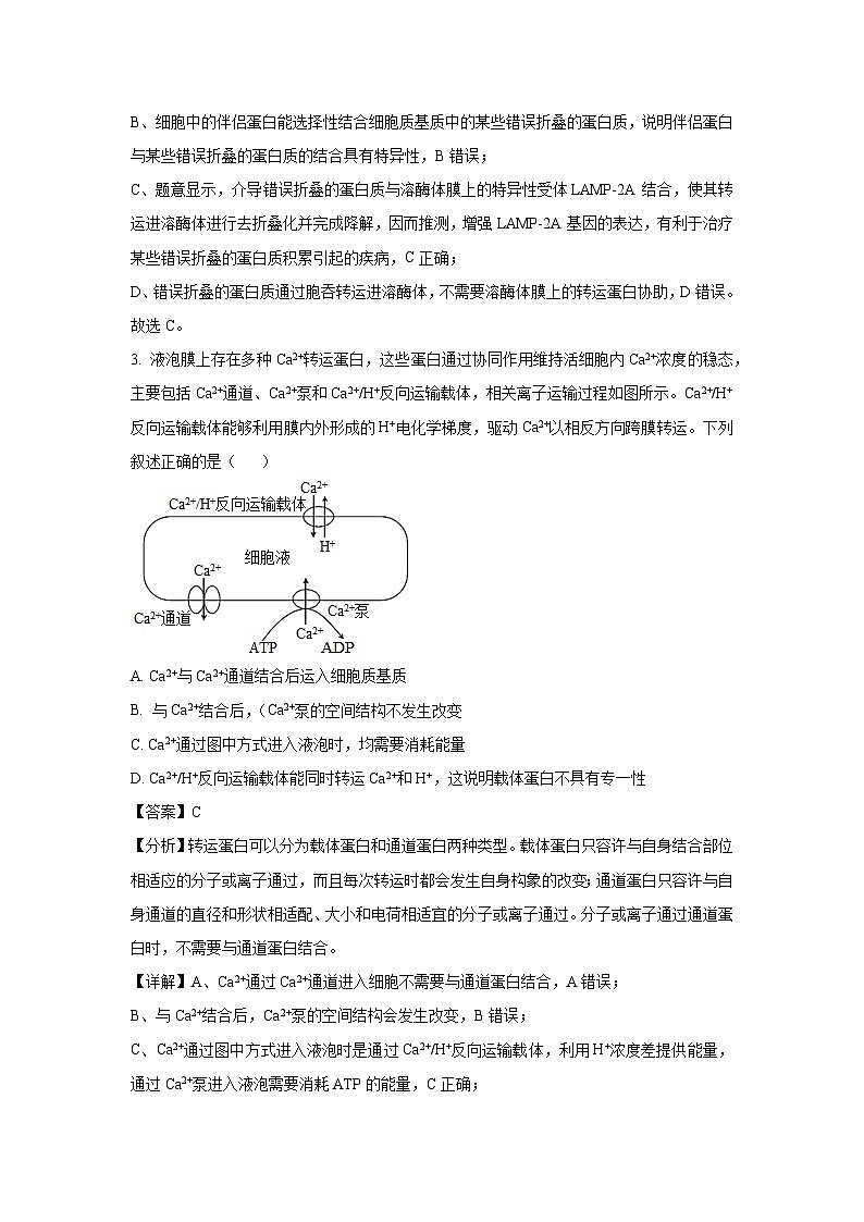 陕西省西安市新城区部分学校2025届高三下学期第七次模拟生物试卷（解析版）第2页