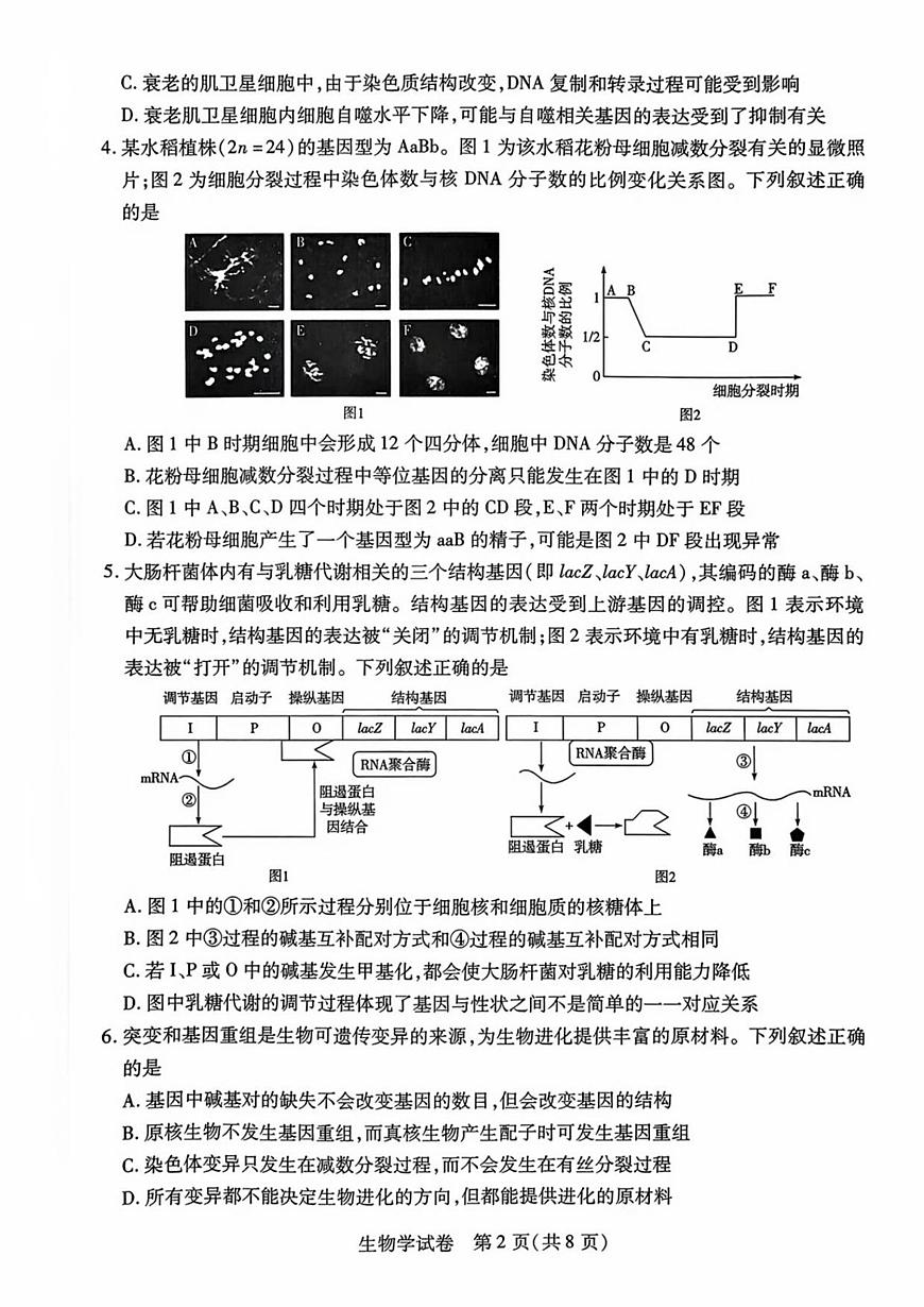 安徽省滁州市2025届新高二下学期7月期末考试-生物试题+答案第2页