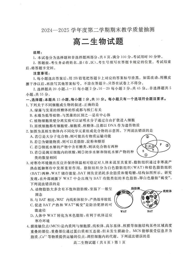 山东省聊城市2024-2025学年高二下学期期末考试生物试卷（PDF版附答案）第1页