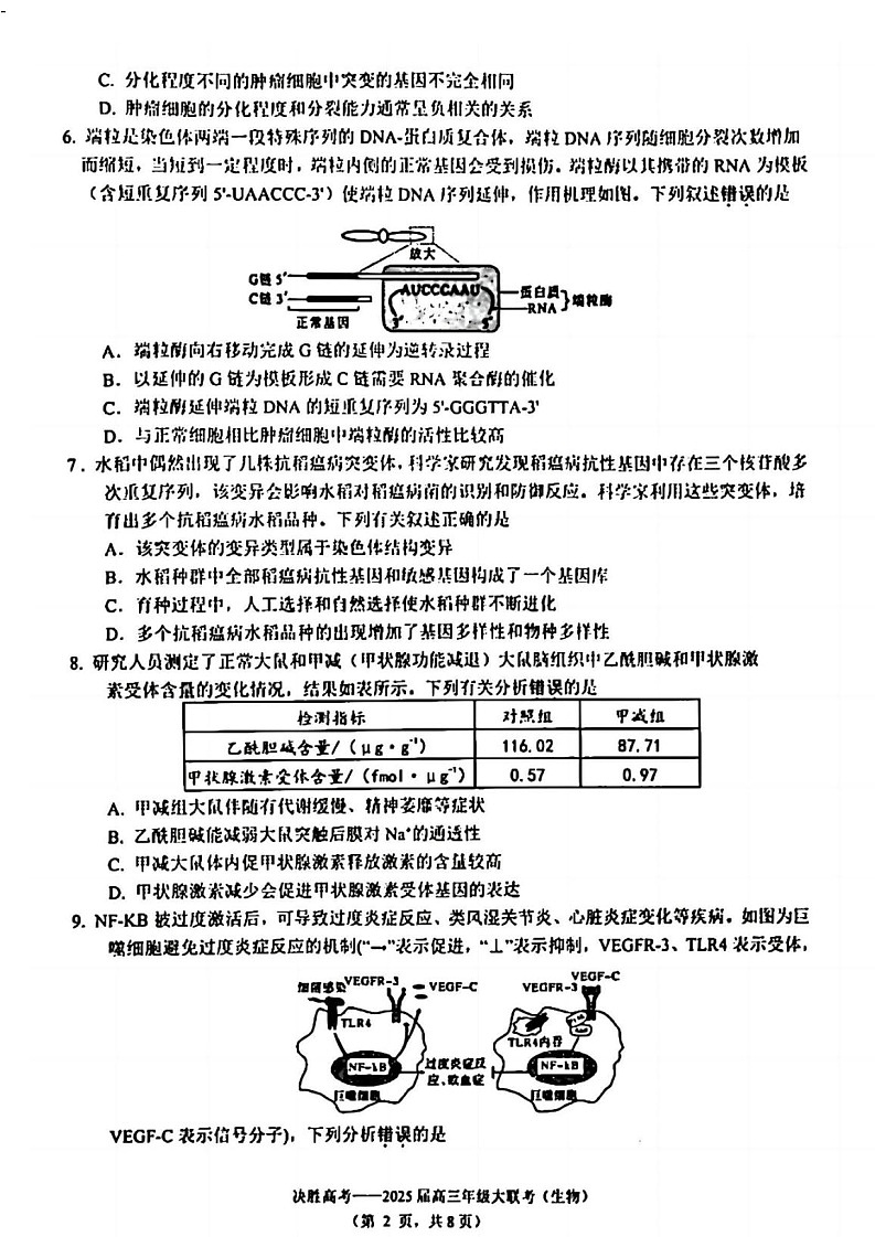江苏省苏州市九校决胜高考2025届高三下学期2月联考-生物试卷（学生版）第2页