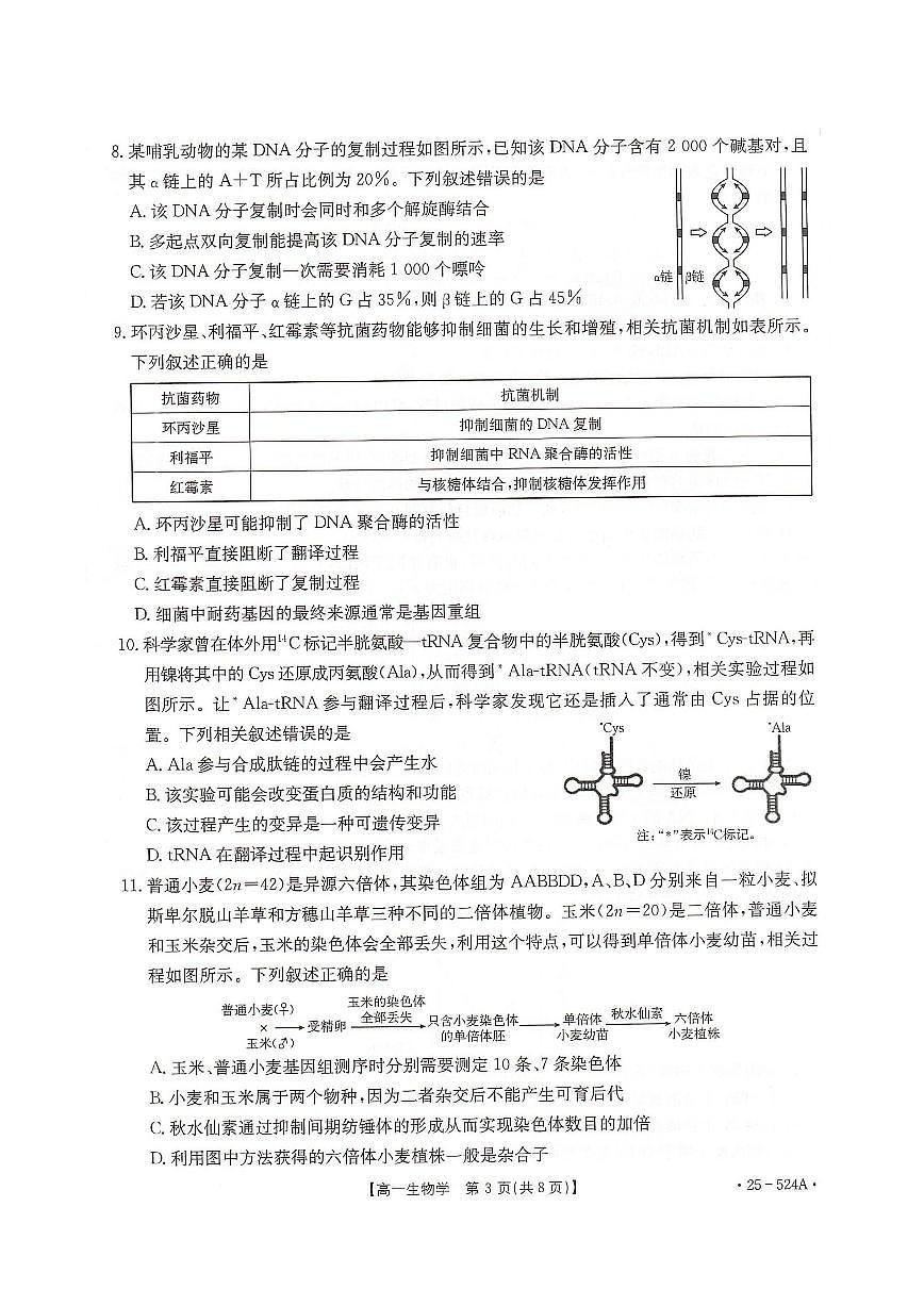 河北省邢台市2024-2025学年高一下学期期末测试生物试卷（PDF版附解析）第3页