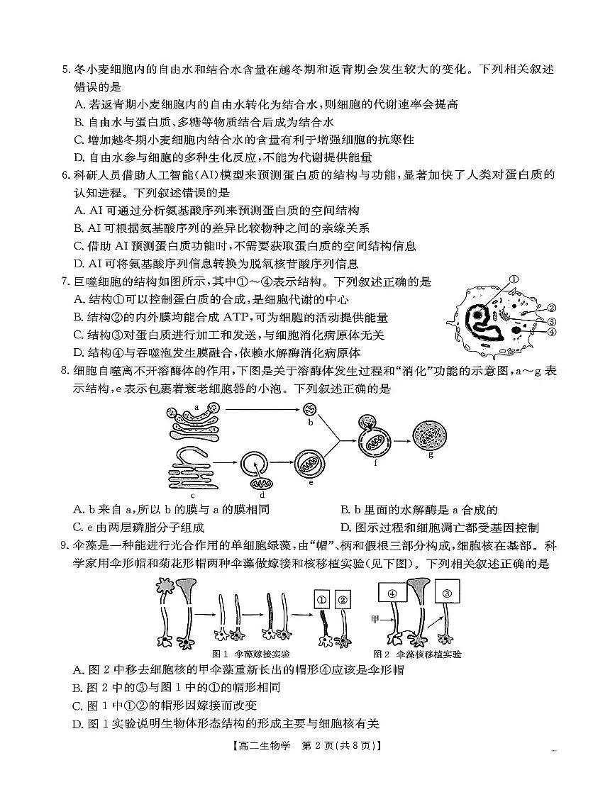 内蒙古巴彦淖尔市2024-2025学年高二下学期期末考试生物试卷（PDF版附答案）第2页