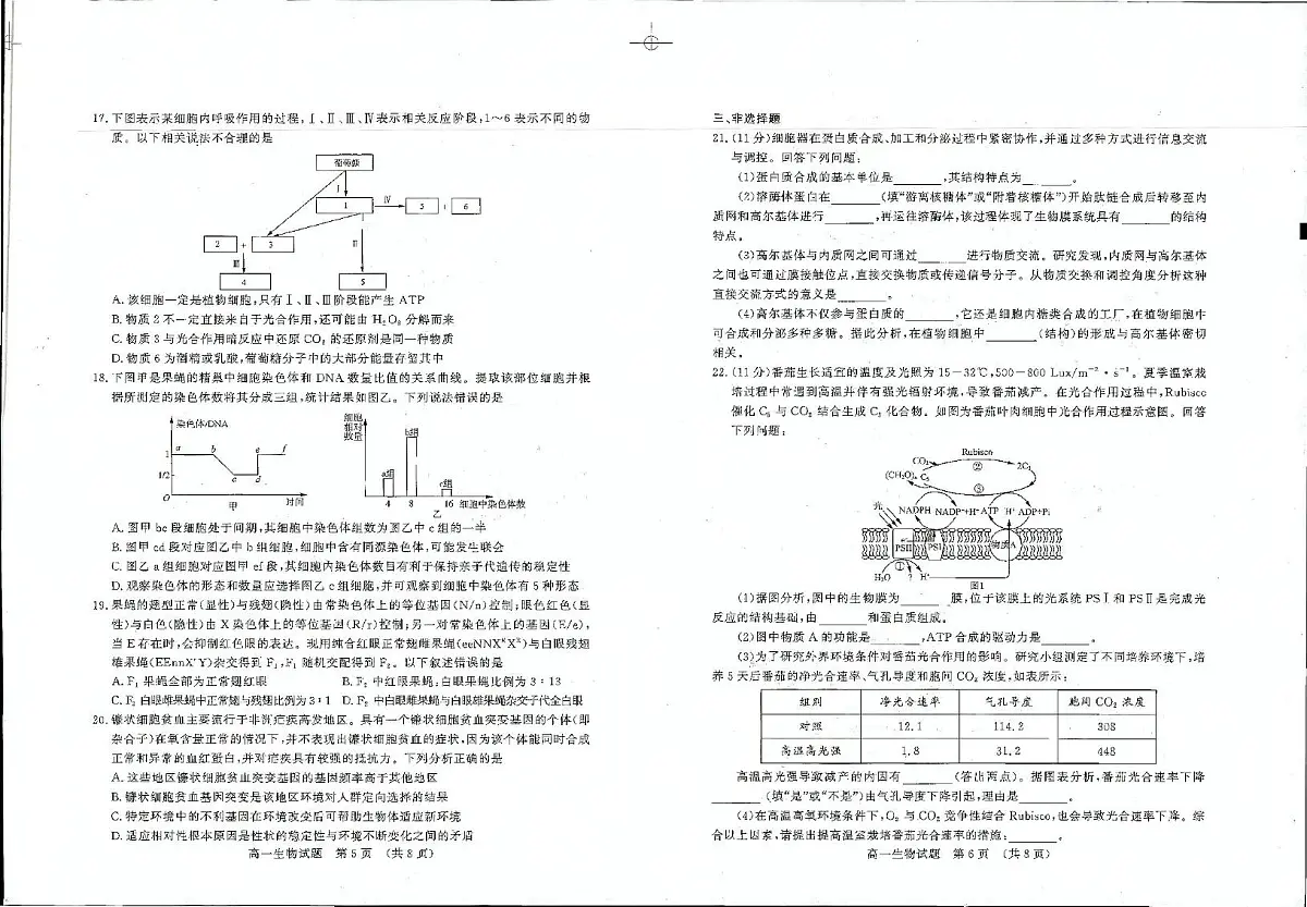 山东省济南市2024-2025学年高一下学期期末考试生物试卷（PDF版附答案）第3页