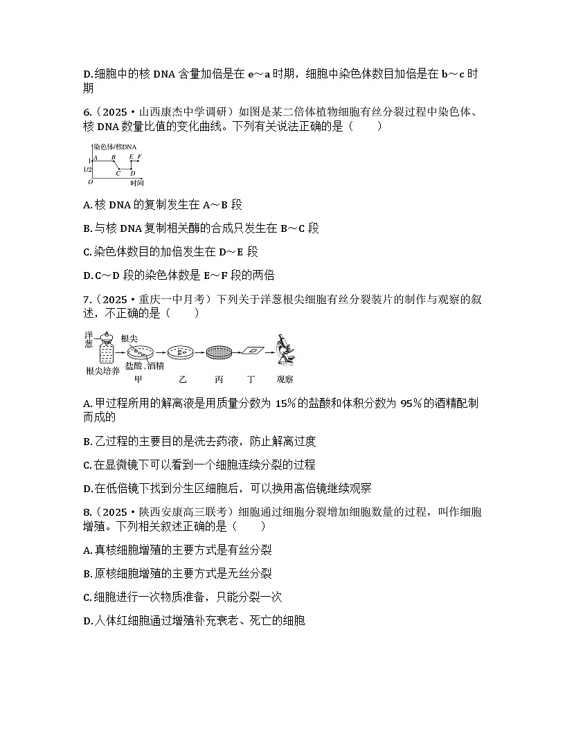 2026届高考生物一轮基础复习训练17 细胞的增殖第3页
