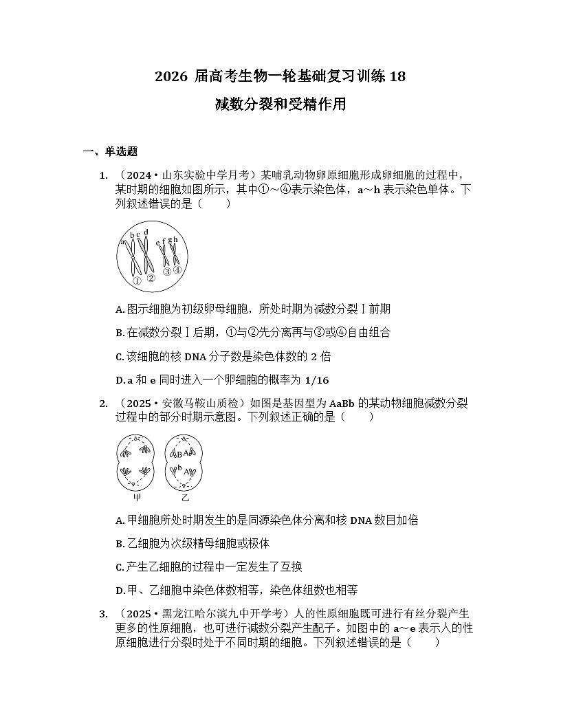 2026届高考生物一轮基础复习训练18 减数分裂和受精作用第1页