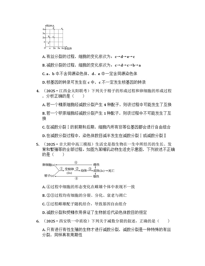 2026届高考生物一轮基础复习训练18 减数分裂和受精作用第2页