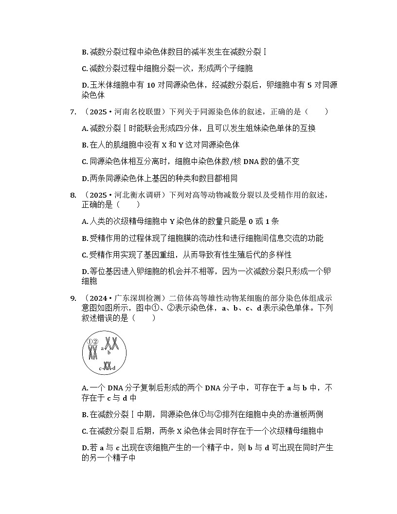 2026届高考生物一轮基础复习训练18 减数分裂和受精作用第3页