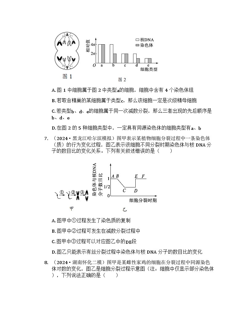 2026届高考生物一轮基础复习训练19 减数分裂与有丝分裂的比较第3页