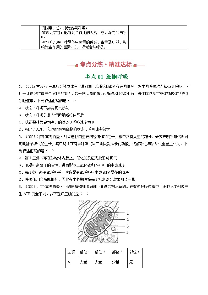 三年（2023-2025）高考生物真题分类汇编：专题03 细胞呼吸与光合作用（全国通用）（原卷版）第3页