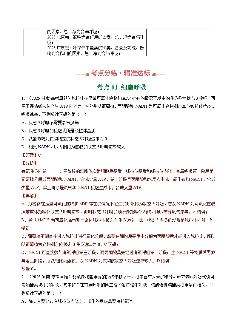 三年（2023-2025）高考生物真题分类汇编：专题03 细胞呼吸与光合作用（全国通用）（解析版）第3页