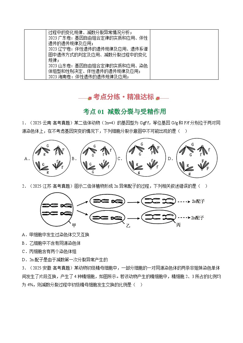 三年（2023-2025）高考生物真题分类汇编：专题06 基因与染色体的关系（全国通用）（原卷版）第2页