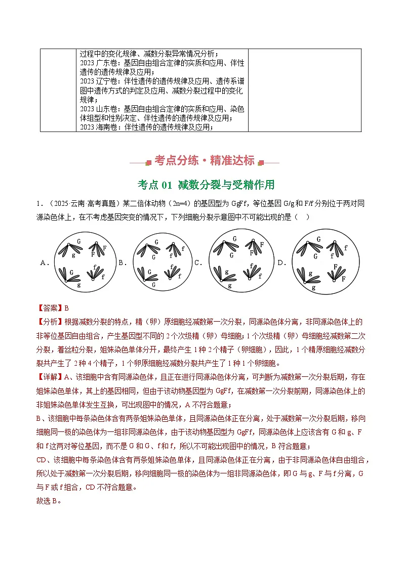 三年（2023-2025）高考生物真题分类汇编：专题06 基因与染色体的关系（全国通用）（解析版）第2页