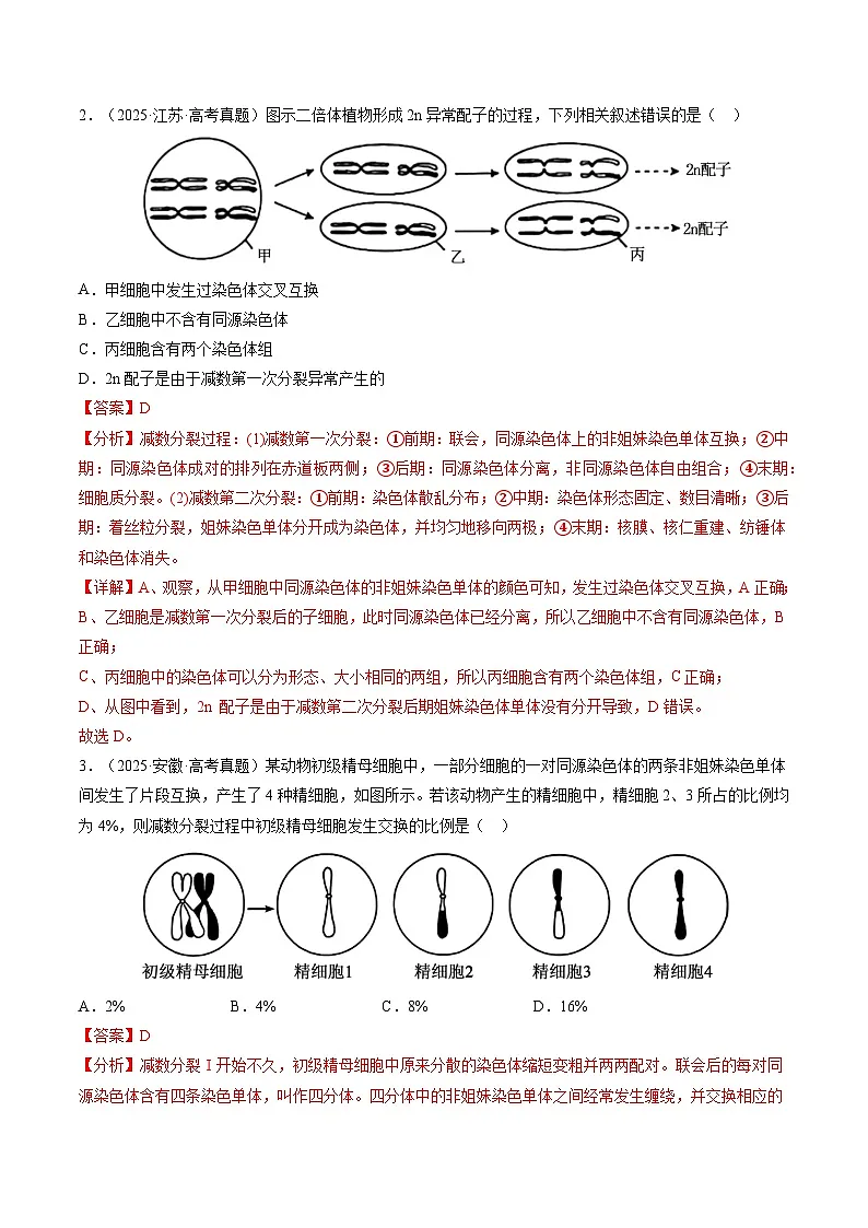 三年（2023-2025）高考生物真题分类汇编：专题06 基因与染色体的关系（全国通用）（解析版）第3页