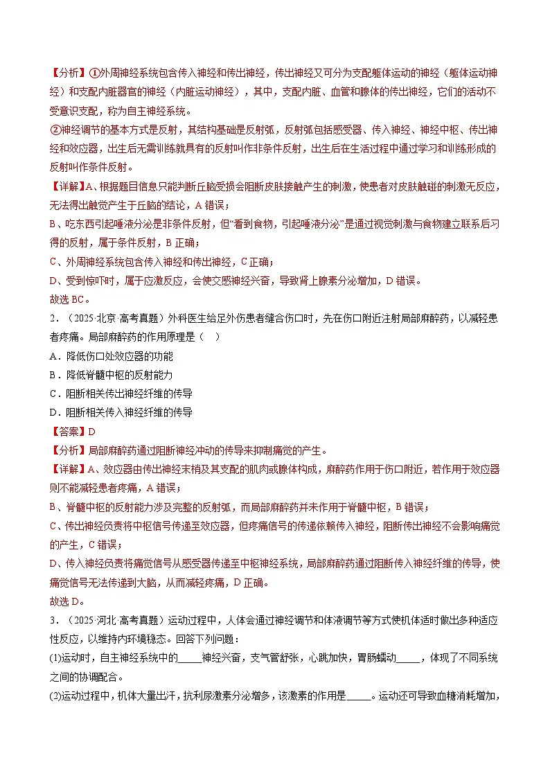 三年（2023-2025）高考生物真题分类汇编：专题10 神经调节（全国通用）（解析版）第3页