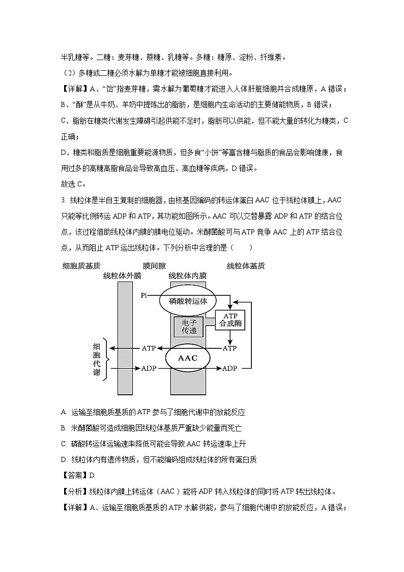 四川省眉山市2025届高三下学期月考生物试卷（解析版）第2页