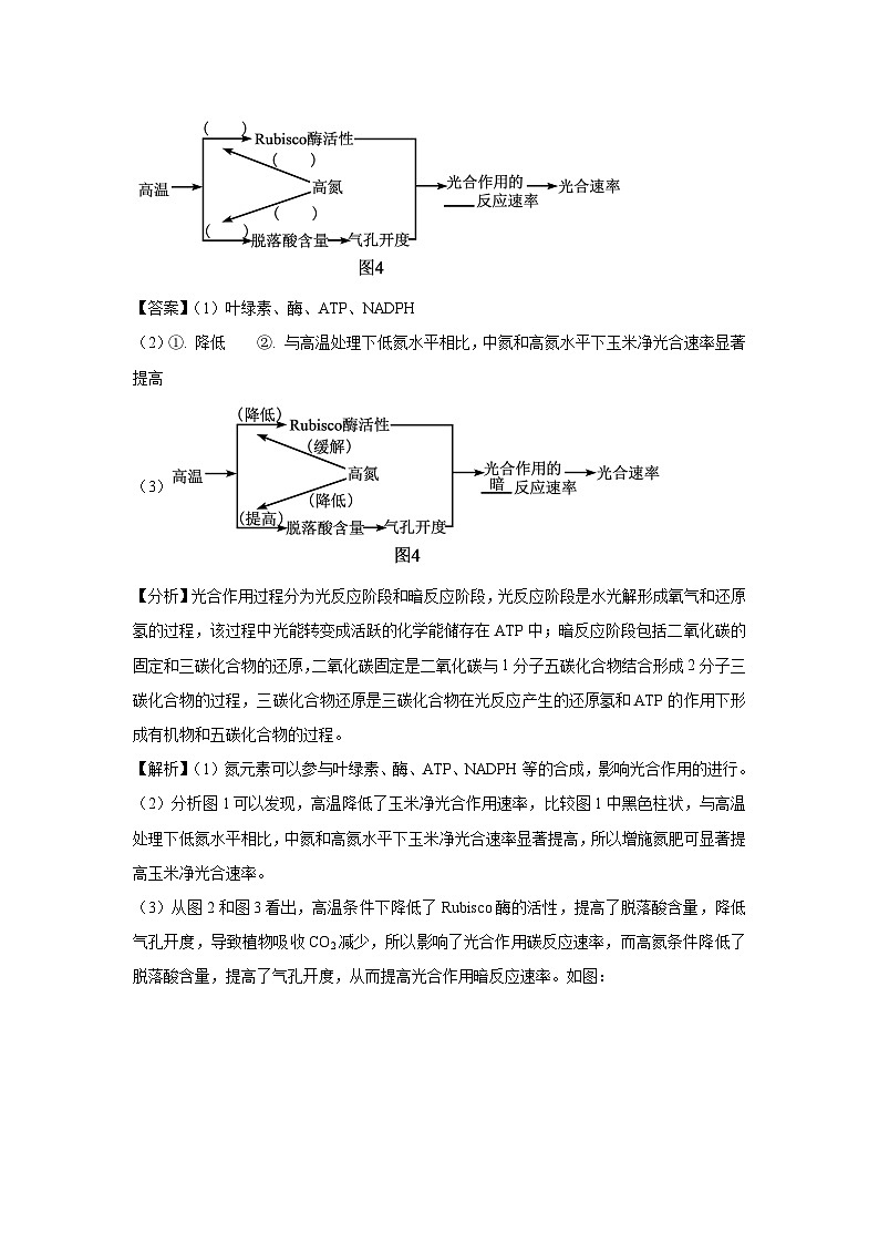 河南省安阳市等2地2025届高三三模生物试卷（解析版）第2页
