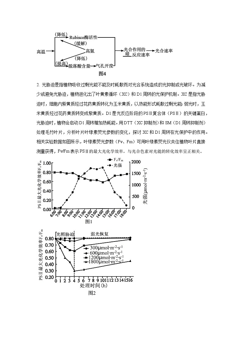 河南省安阳市等2地2025届高三三模生物试卷（解析版）第3页