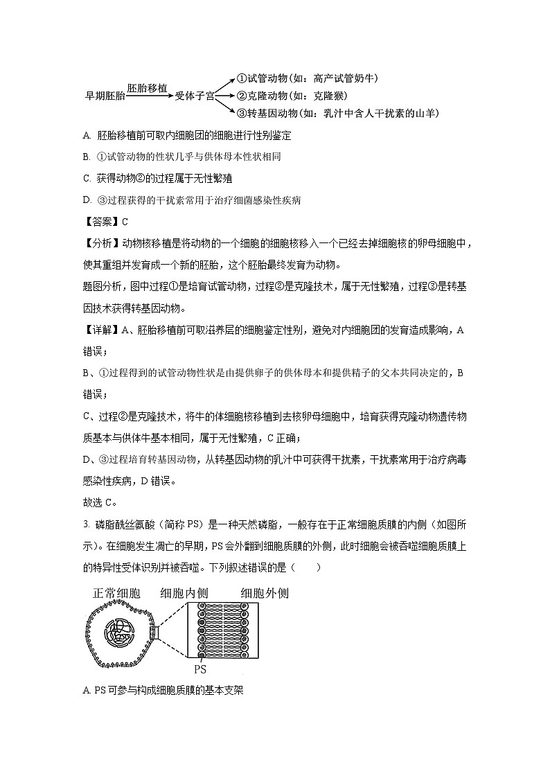 广东省深圳市福田区2025届高三下学期适应性考试生物试卷（解析版）第2页