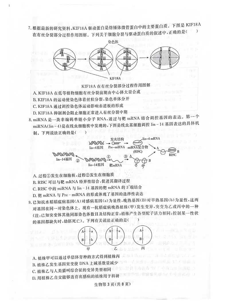2025届四川省高三下学期第一次教学质量联合测评-生物试题（学生版）第3页