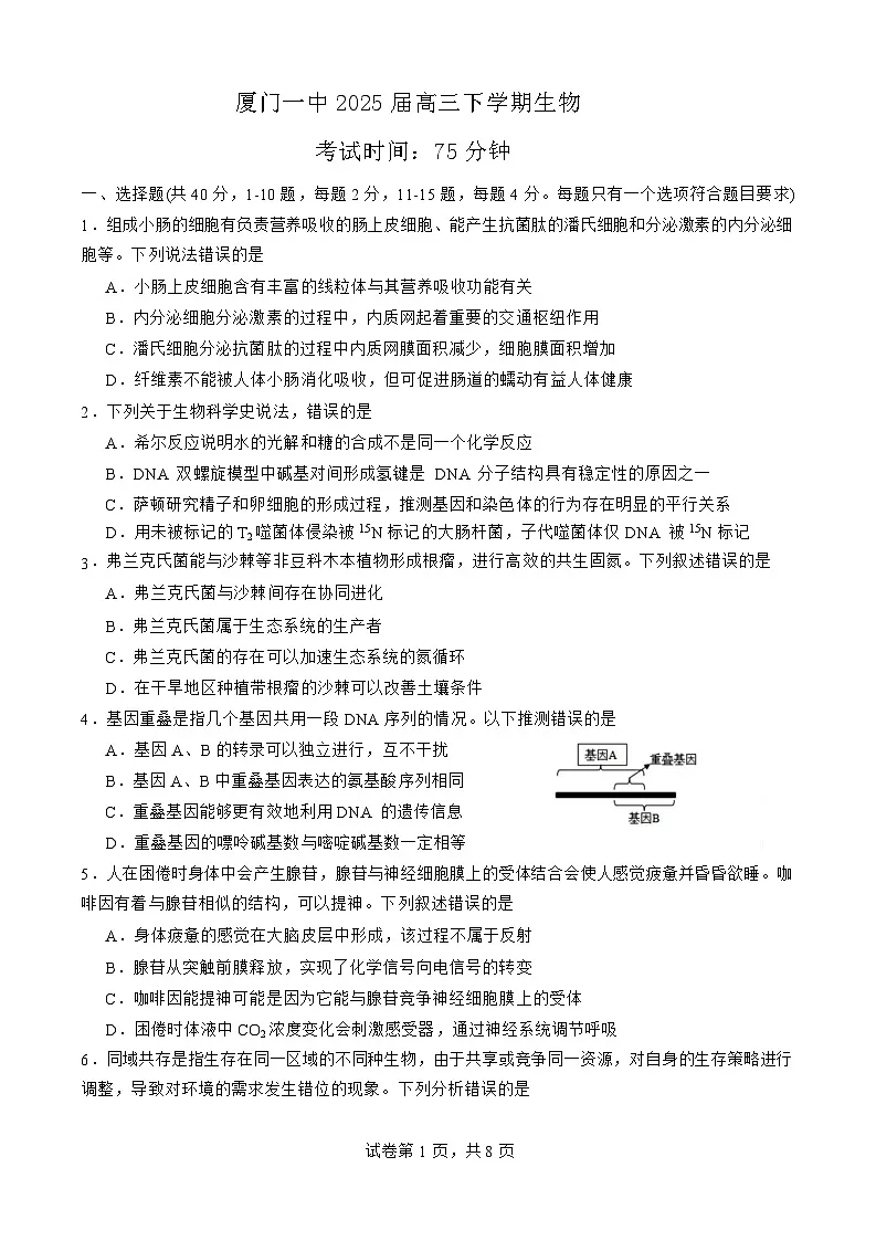 福建省厦门市第一中学2025届高三下学期第一次质检-生物试题（含答案）第1页