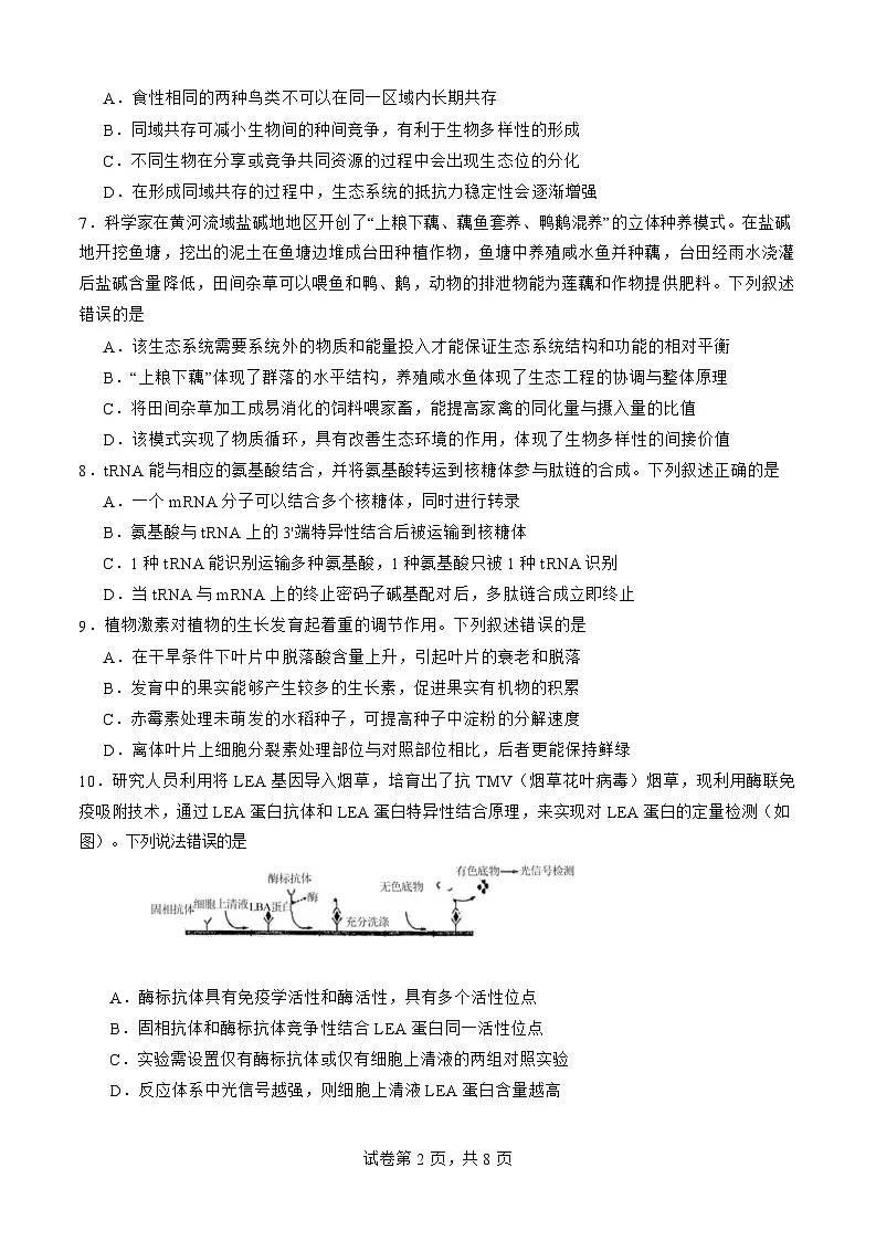 福建省厦门市第一中学2025届高三下学期第一次质检-生物试题（含答案）第2页