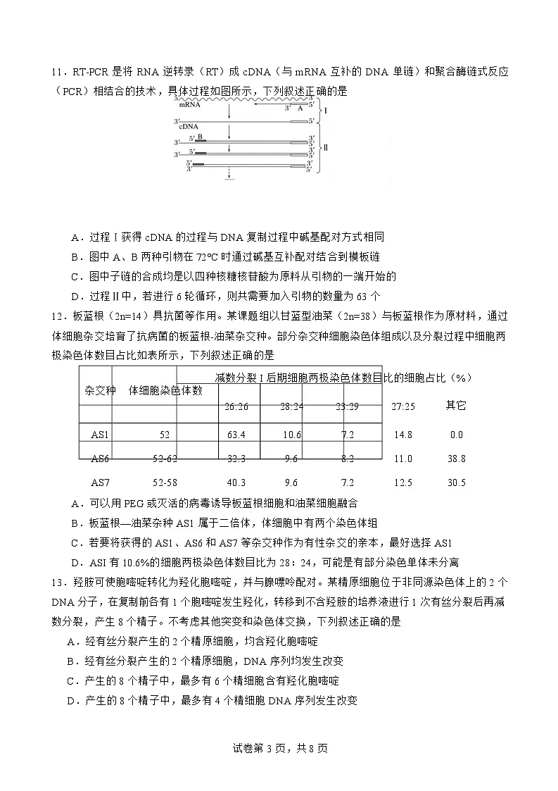 福建省厦门市第一中学2025届高三下学期第一次质检-生物试题（含答案）第3页