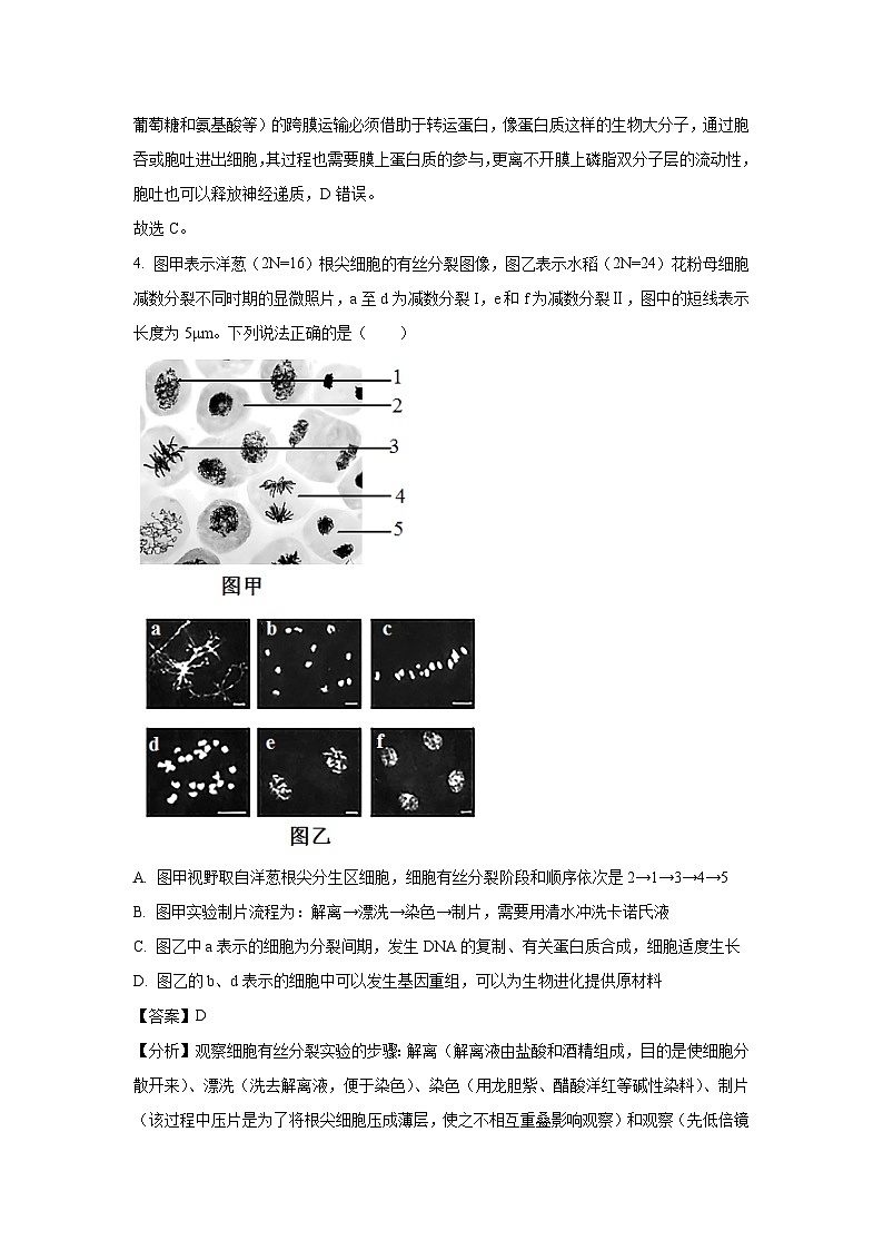 陕西省西安市2025届高三下学期模拟预测生物试卷（解析版）第3页