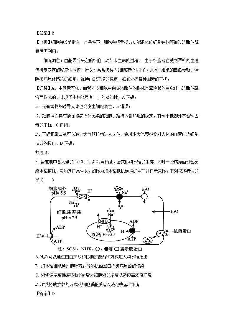 河南省部分重点高中2025届高三下学期第二次联考生物试卷（解析版）第2页