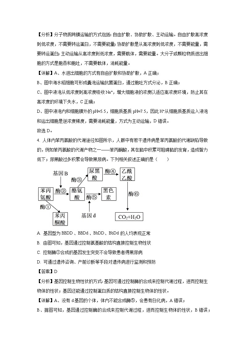 河南省部分重点高中2025届高三下学期第二次联考生物试卷（解析版）第3页