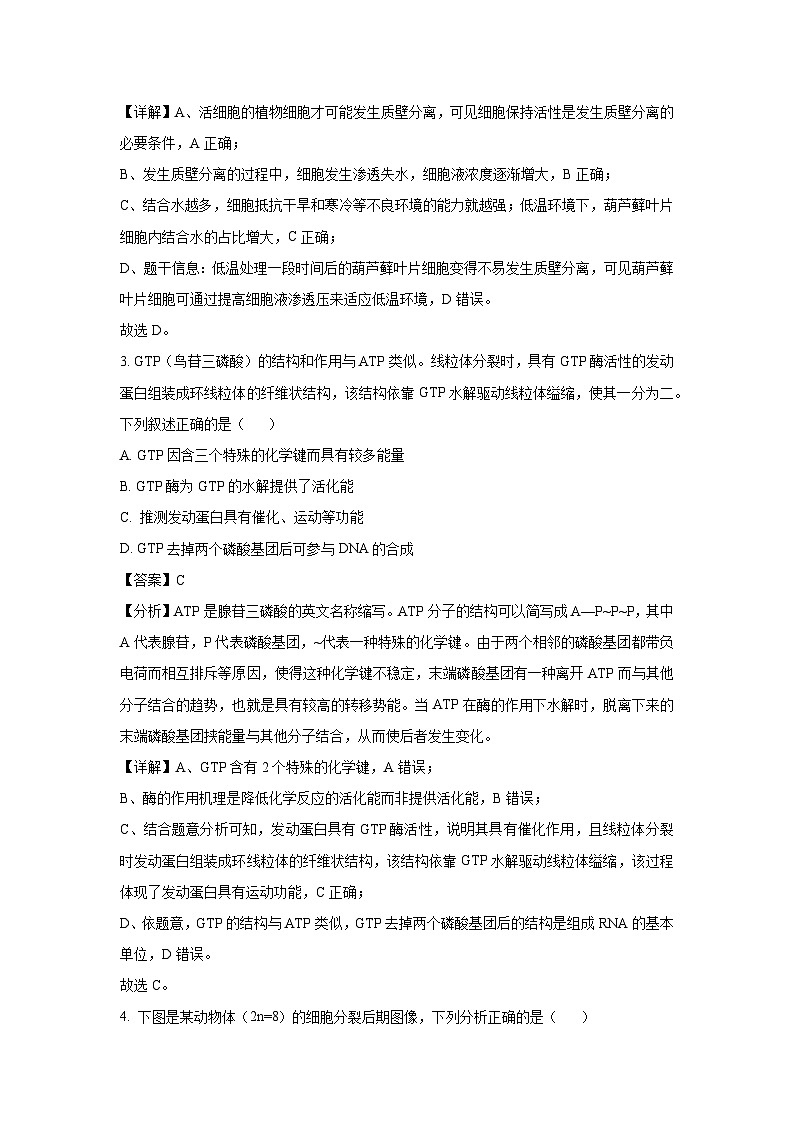 2025届东三省名校联盟高三下学期最后一卷联合模拟考试生物试卷（解析版）第2页