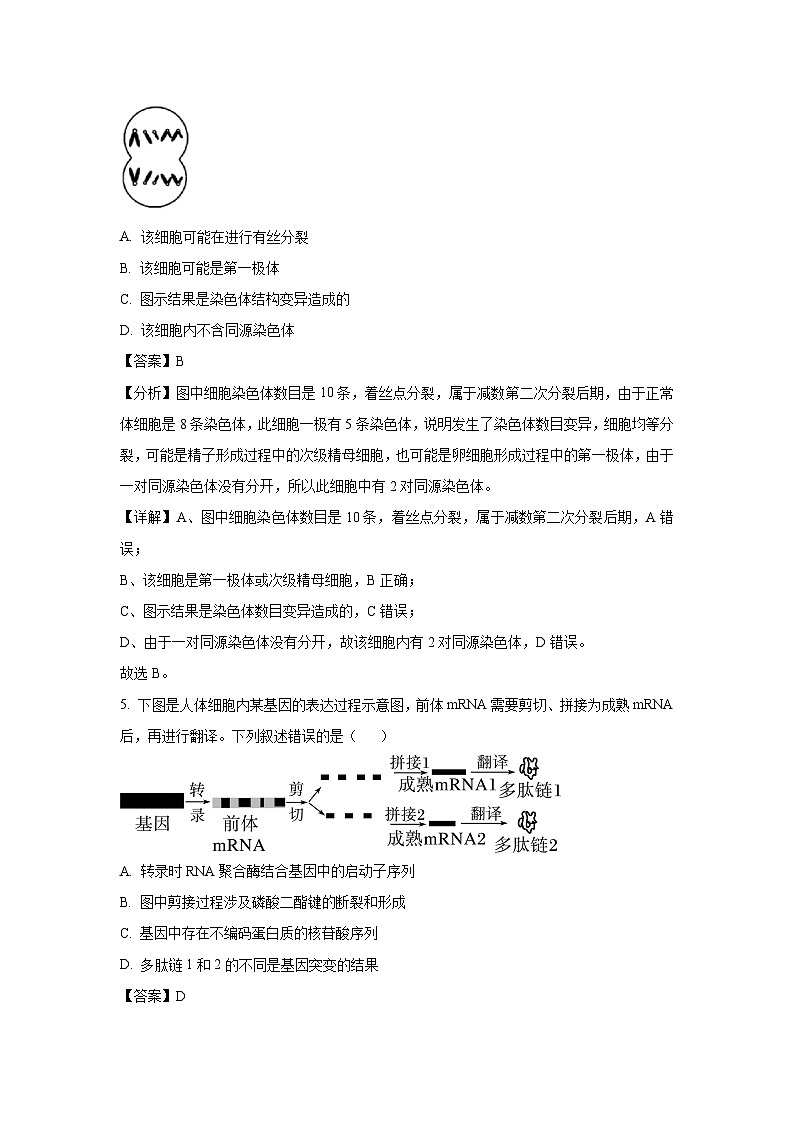 2025届东三省名校联盟高三下学期最后一卷联合模拟考试生物试卷（解析版）第3页