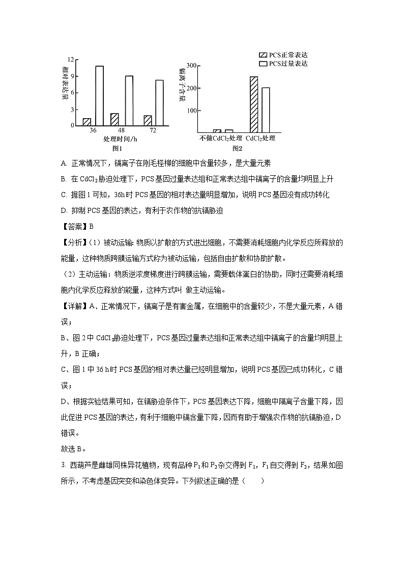 河南省普通高中青桐鸣2025届高三下学期考前适应性考试生物试卷（解析版）第2页