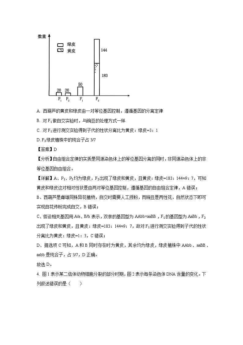 河南省普通高中青桐鸣2025届高三下学期考前适应性考试生物试卷（解析版）第3页