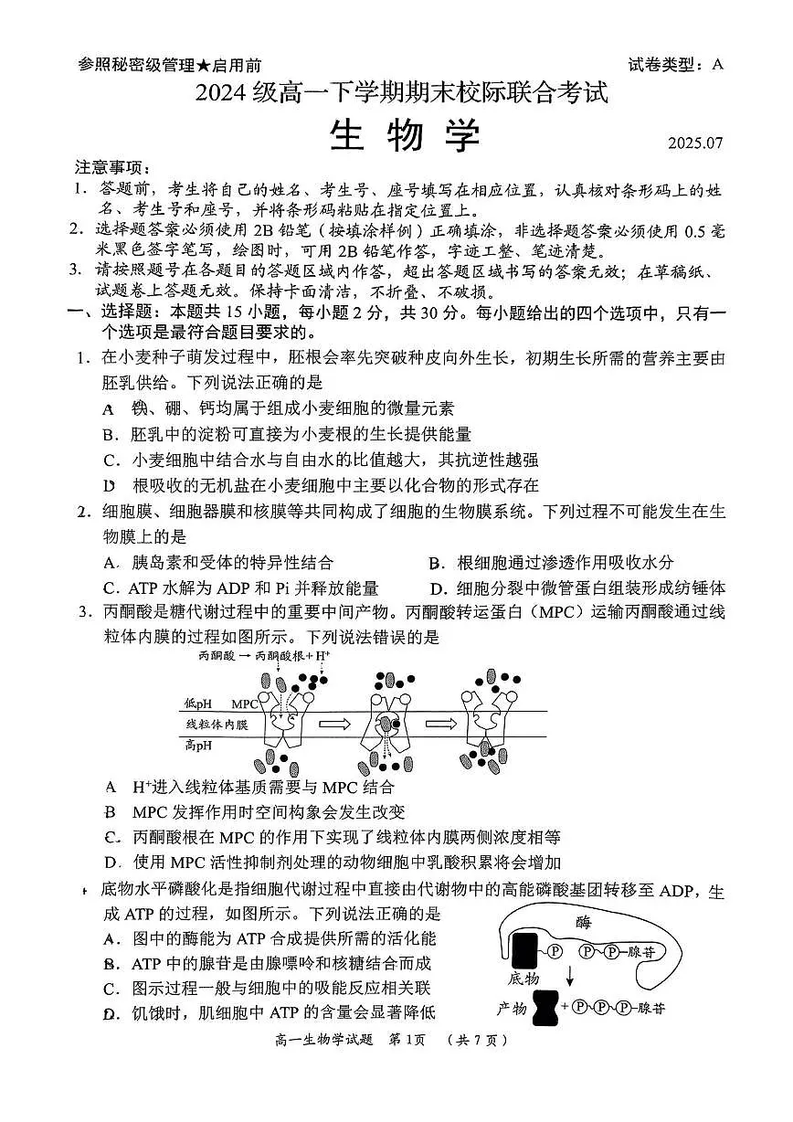 生物-山东省日照市部分学校2024-2025学年高一下学期期末校际联考试题和答案第1页
