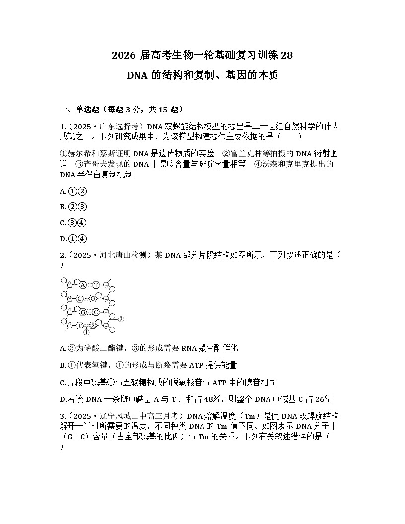 2026届高考生物一轮基础复习训练28 DNA的结构和复制、基因的本质第1页