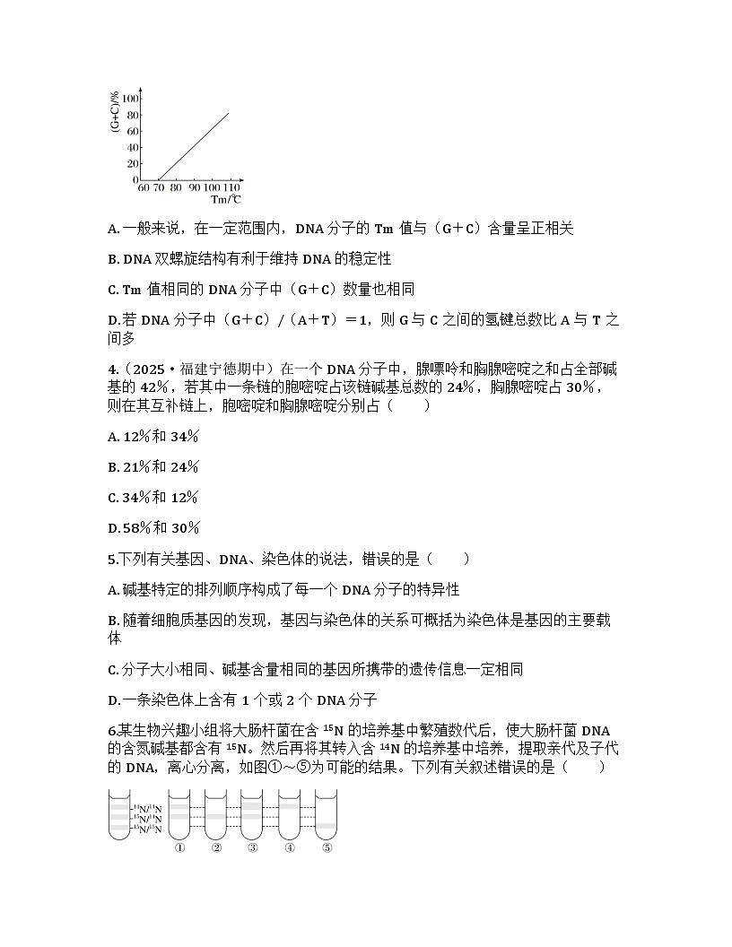 2026届高考生物一轮基础复习训练28 DNA的结构和复制、基因的本质第2页