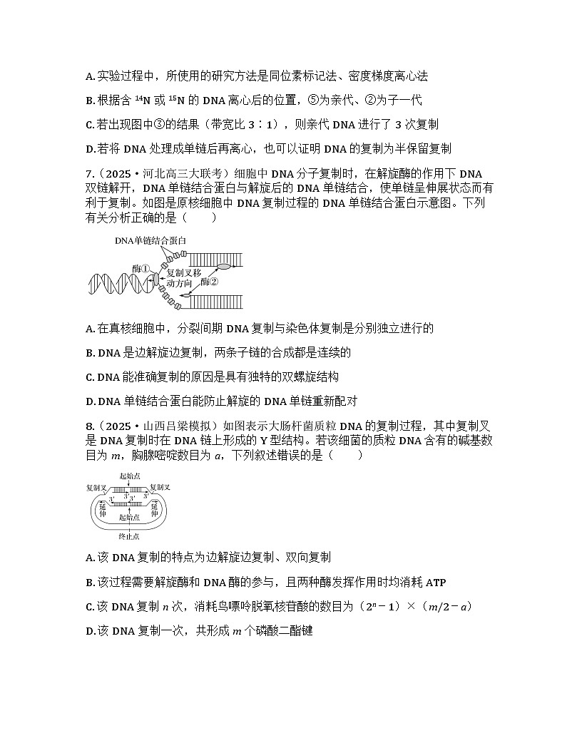 2026届高考生物一轮基础复习训练28 DNA的结构和复制、基因的本质第3页