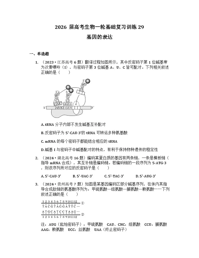 2026届高考生物一轮基础复习训练29 基因的表达第1页