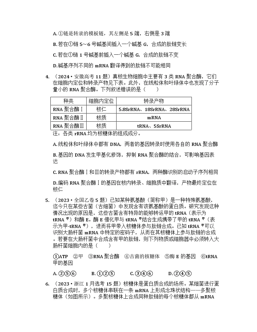 2026届高考生物一轮基础复习训练29 基因的表达第2页
