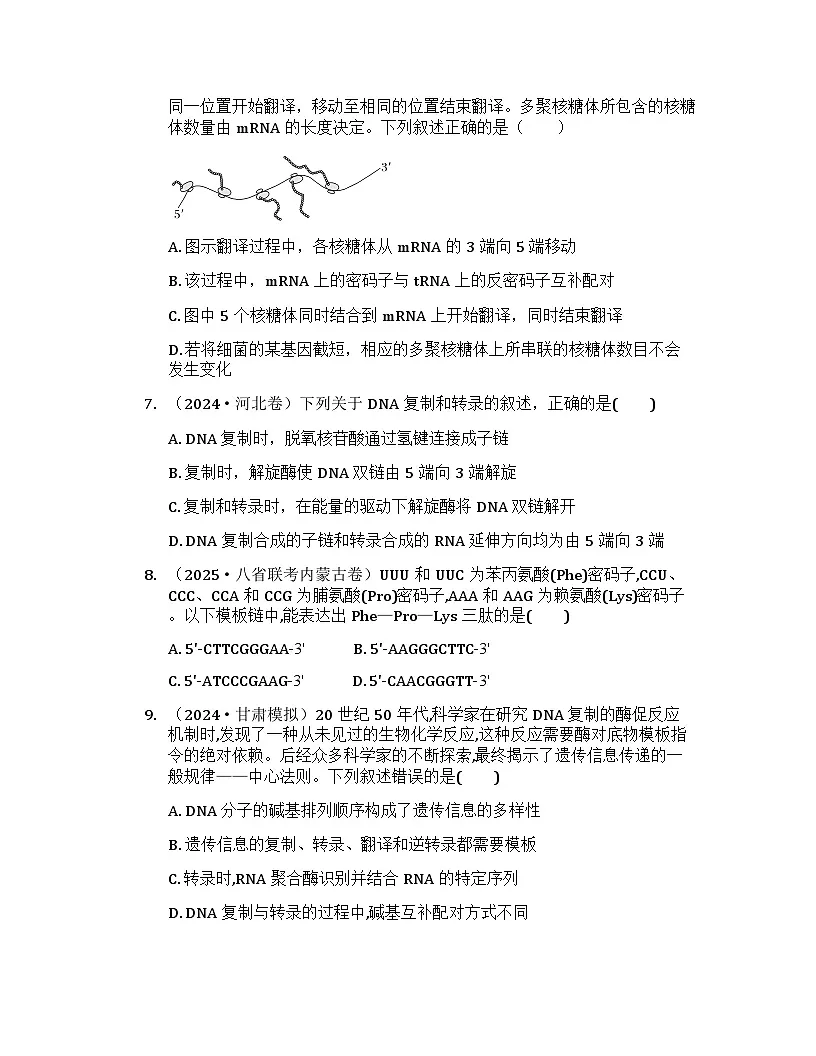 2026届高考生物一轮基础复习训练29 基因的表达第3页